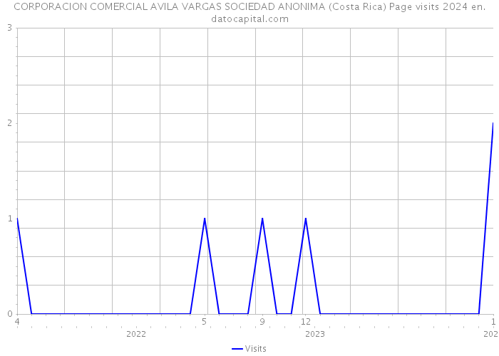 CORPORACION COMERCIAL AVILA VARGAS SOCIEDAD ANONIMA (Costa Rica) Page visits 2024 
