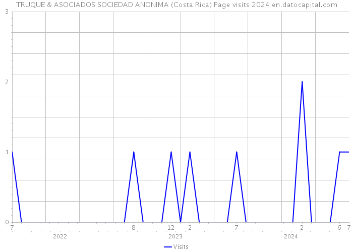 TRUQUE & ASOCIADOS SOCIEDAD ANONIMA (Costa Rica) Page visits 2024 