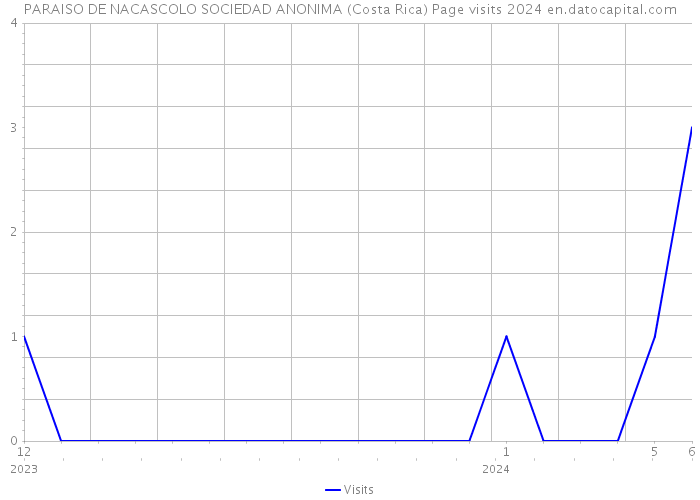 PARAISO DE NACASCOLO SOCIEDAD ANONIMA (Costa Rica) Page visits 2024 