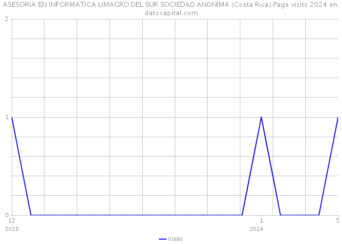 ASESORIA EN INFORMATICA LIMAGRO DEL SUR SOCIEDAD ANONIMA (Costa Rica) Page visits 2024 