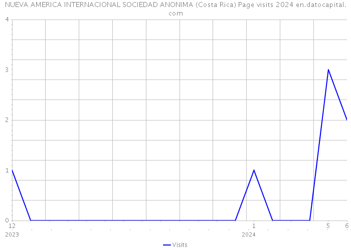 NUEVA AMERICA INTERNACIONAL SOCIEDAD ANONIMA (Costa Rica) Page visits 2024 