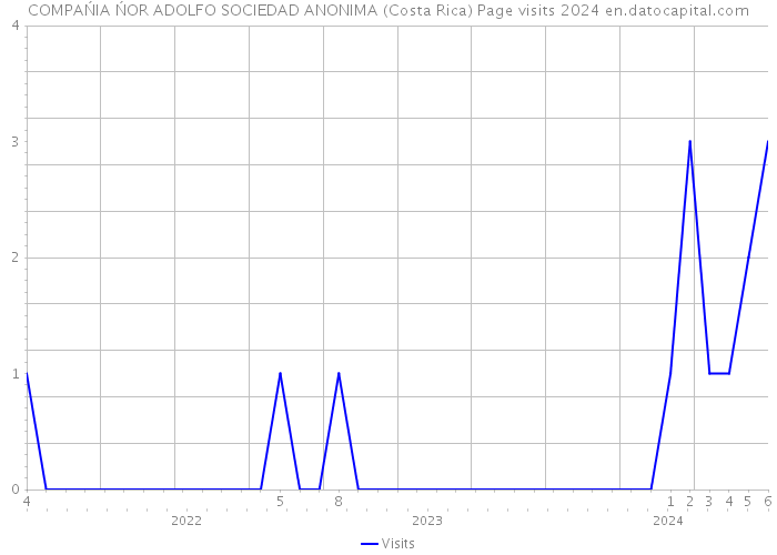 COMPAŃIA ŃOR ADOLFO SOCIEDAD ANONIMA (Costa Rica) Page visits 2024 