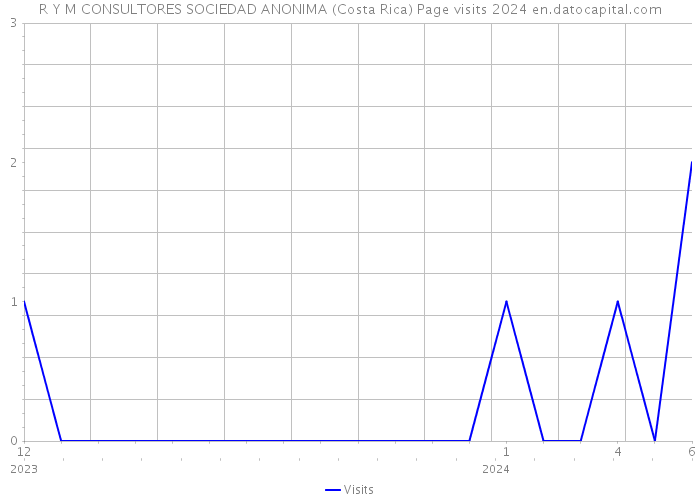 R Y M CONSULTORES SOCIEDAD ANONIMA (Costa Rica) Page visits 2024 