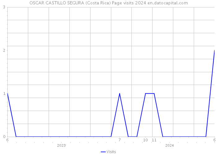OSCAR CASTILLO SEGURA (Costa Rica) Page visits 2024 