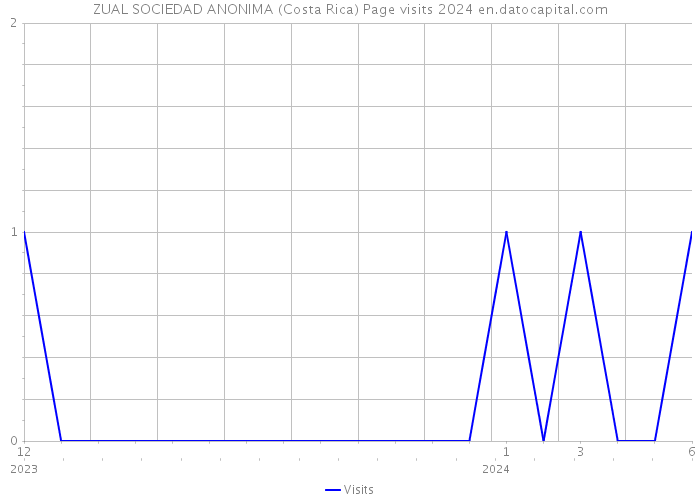 ZUAL SOCIEDAD ANONIMA (Costa Rica) Page visits 2024 