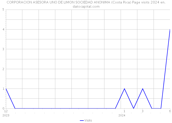CORPORACION ASESORA UNO DE LIMON SOCIEDAD ANONIMA (Costa Rica) Page visits 2024 