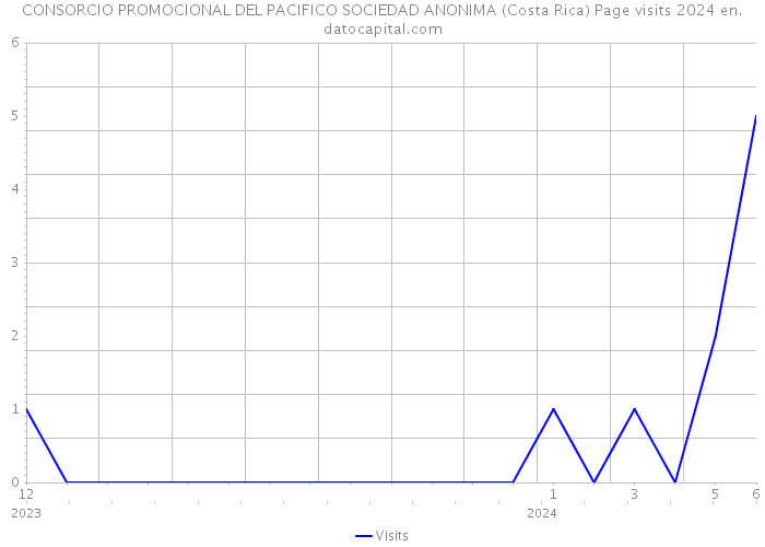 CONSORCIO PROMOCIONAL DEL PACIFICO SOCIEDAD ANONIMA (Costa Rica) Page visits 2024 