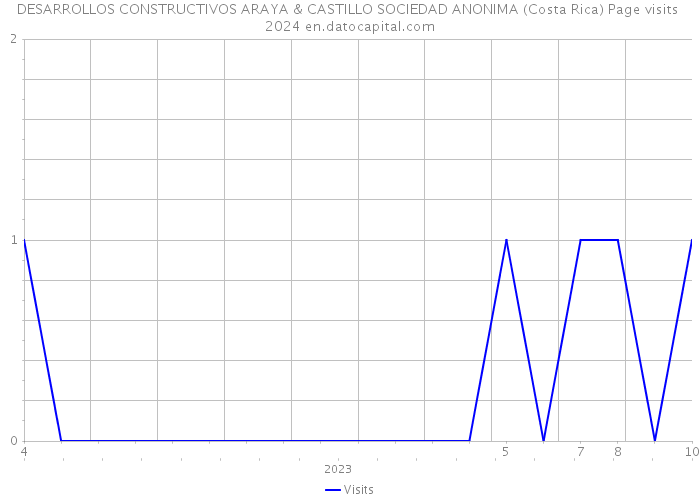 DESARROLLOS CONSTRUCTIVOS ARAYA & CASTILLO SOCIEDAD ANONIMA (Costa Rica) Page visits 2024 