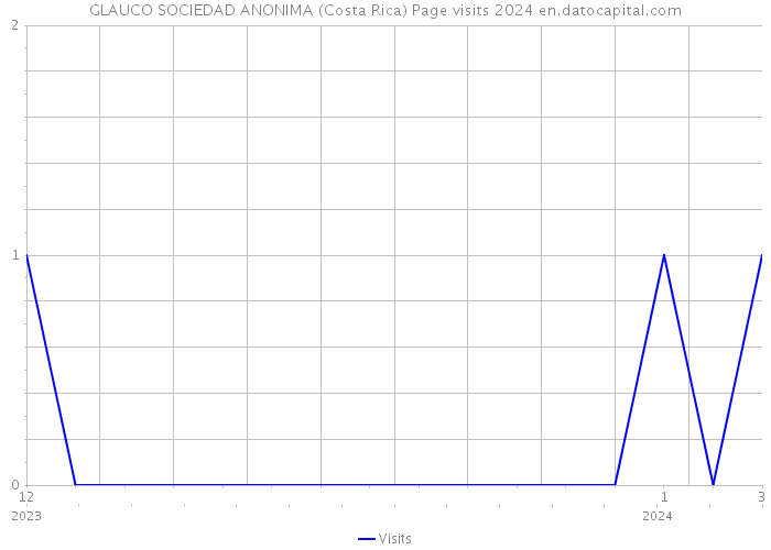 GLAUCO SOCIEDAD ANONIMA (Costa Rica) Page visits 2024 