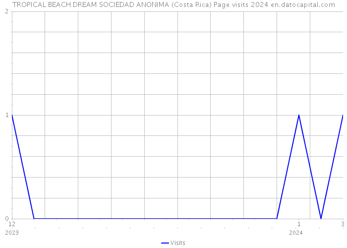 TROPICAL BEACH DREAM SOCIEDAD ANONIMA (Costa Rica) Page visits 2024 