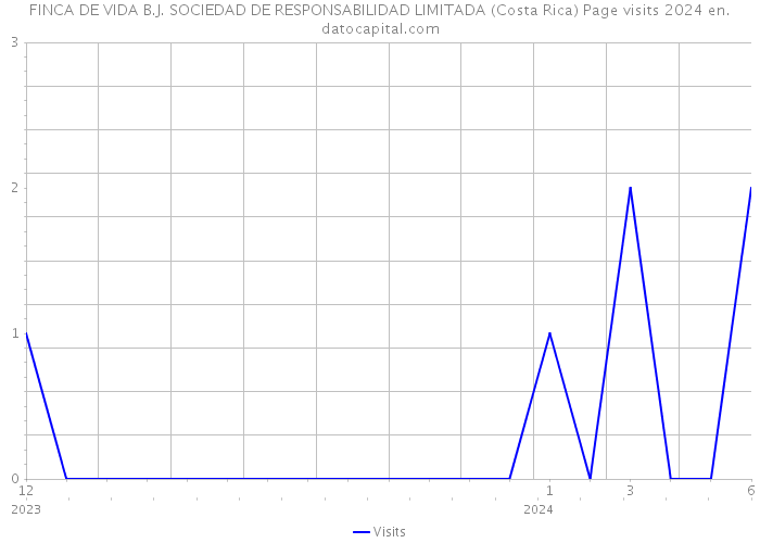 FINCA DE VIDA B.J. SOCIEDAD DE RESPONSABILIDAD LIMITADA (Costa Rica) Page visits 2024 