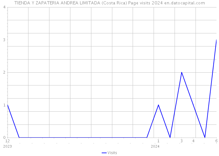TIENDA Y ZAPATERIA ANDREA LIMITADA (Costa Rica) Page visits 2024 