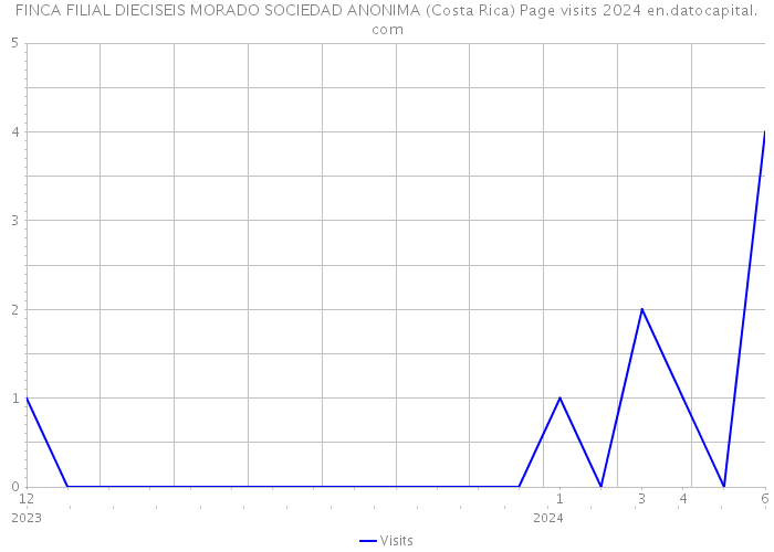 FINCA FILIAL DIECISEIS MORADO SOCIEDAD ANONIMA (Costa Rica) Page visits 2024 