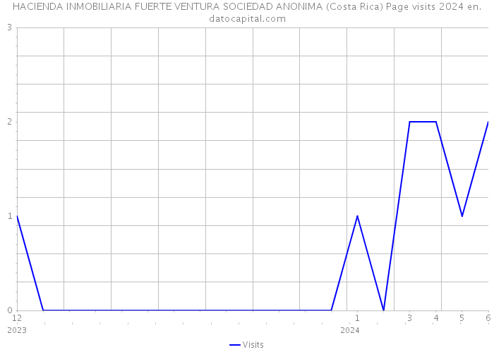HACIENDA INMOBILIARIA FUERTE VENTURA SOCIEDAD ANONIMA (Costa Rica) Page visits 2024 