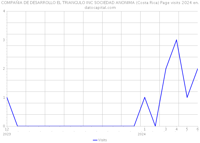 COMPAŃIA DE DESARROLLO EL TRIANGULO INC SOCIEDAD ANONIMA (Costa Rica) Page visits 2024 