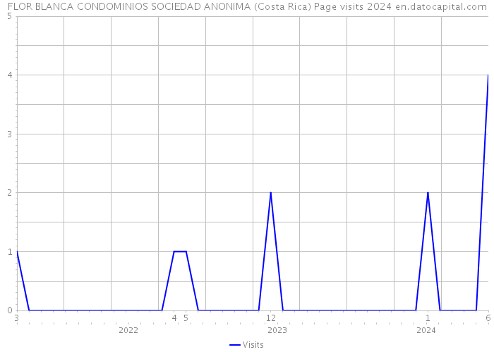 FLOR BLANCA CONDOMINIOS SOCIEDAD ANONIMA (Costa Rica) Page visits 2024 