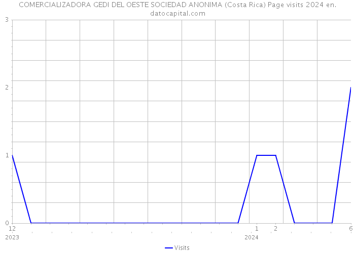 COMERCIALIZADORA GEDI DEL OESTE SOCIEDAD ANONIMA (Costa Rica) Page visits 2024 