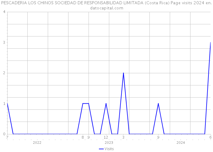 PESCADERIA LOS CHINOS SOCIEDAD DE RESPONSABILIDAD LIMITADA (Costa Rica) Page visits 2024 