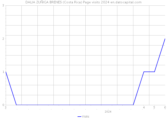DALIA ZUÑIGA BRENES (Costa Rica) Page visits 2024 