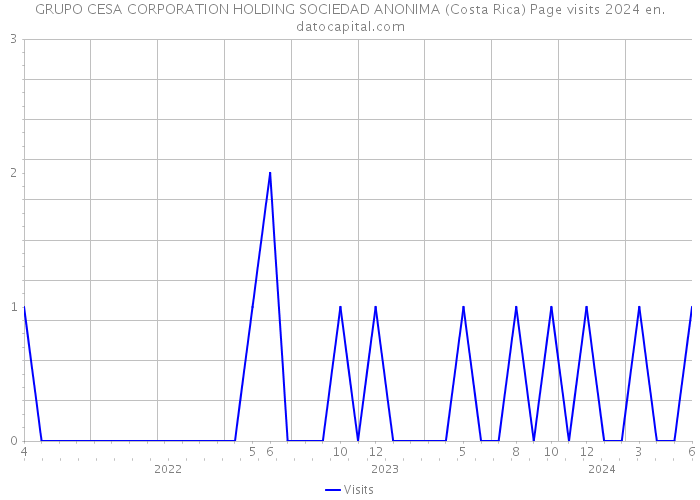 GRUPO CESA CORPORATION HOLDING SOCIEDAD ANONIMA (Costa Rica) Page visits 2024 