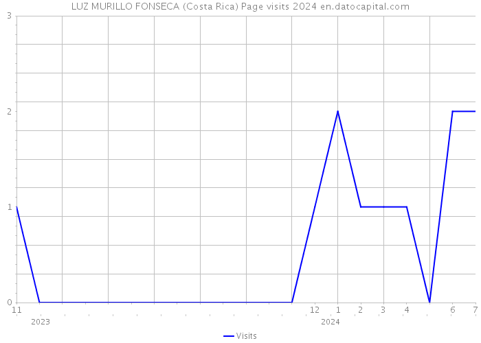 LUZ MURILLO FONSECA (Costa Rica) Page visits 2024 