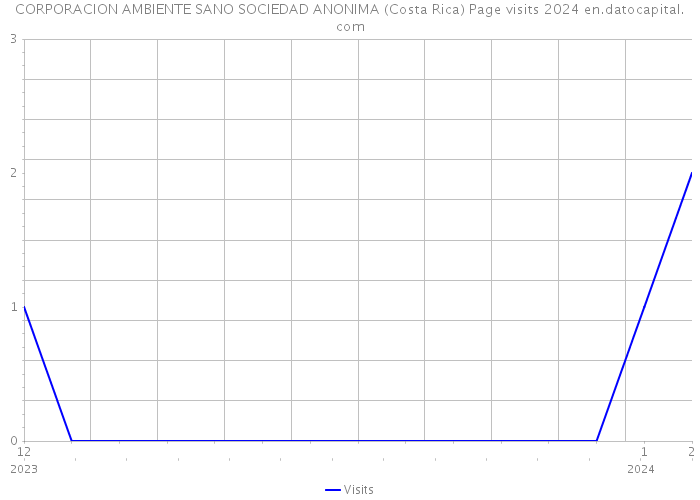 CORPORACION AMBIENTE SANO SOCIEDAD ANONIMA (Costa Rica) Page visits 2024 