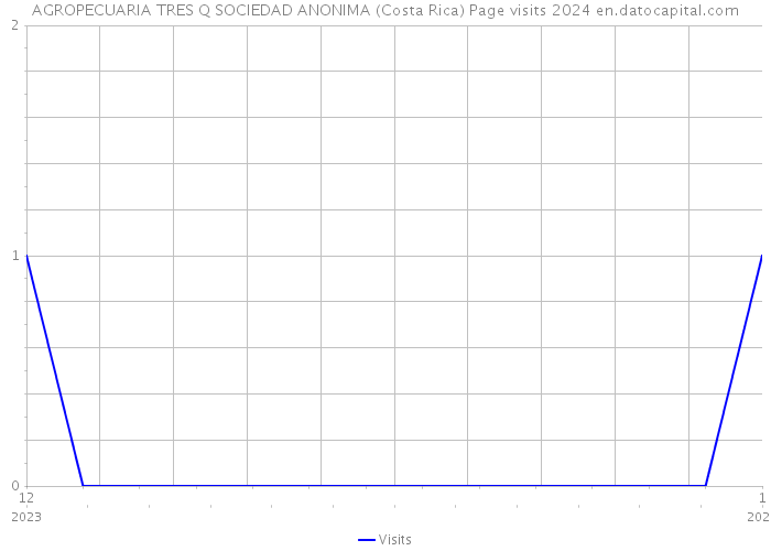 AGROPECUARIA TRES Q SOCIEDAD ANONIMA (Costa Rica) Page visits 2024 