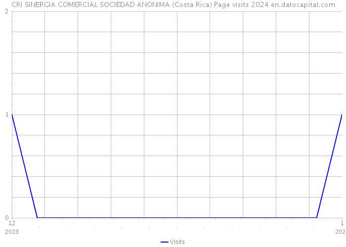 CRI SINERGIA COMERCIAL SOCIEDAD ANONIMA (Costa Rica) Page visits 2024 