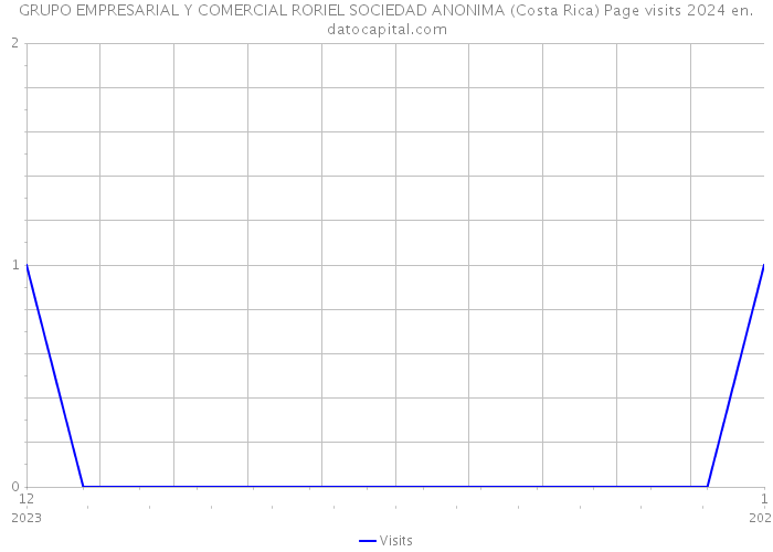 GRUPO EMPRESARIAL Y COMERCIAL RORIEL SOCIEDAD ANONIMA (Costa Rica) Page visits 2024 