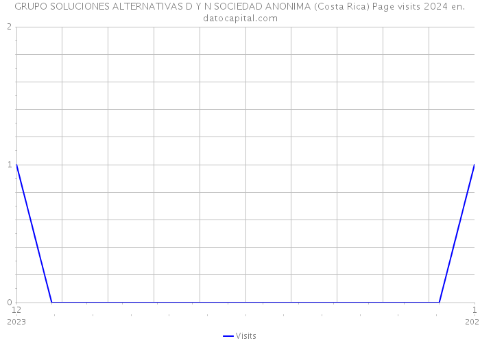 GRUPO SOLUCIONES ALTERNATIVAS D Y N SOCIEDAD ANONIMA (Costa Rica) Page visits 2024 