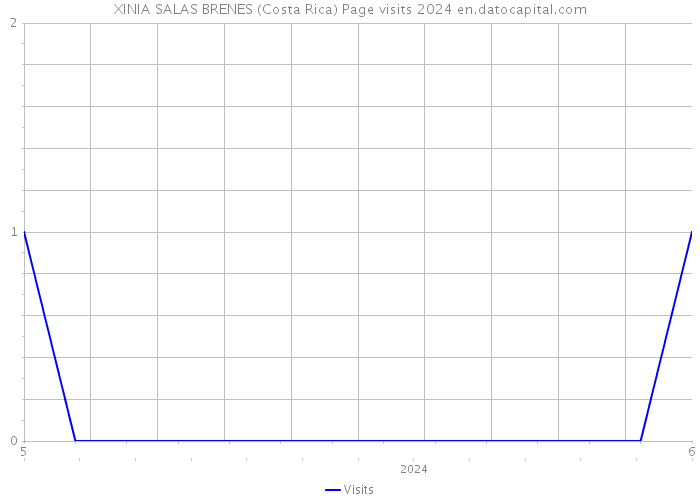 XINIA SALAS BRENES (Costa Rica) Page visits 2024 