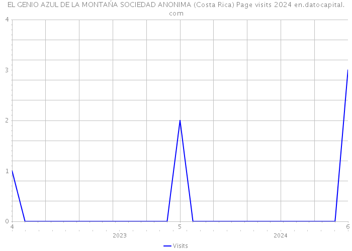 EL GENIO AZUL DE LA MONTAŃA SOCIEDAD ANONIMA (Costa Rica) Page visits 2024 
