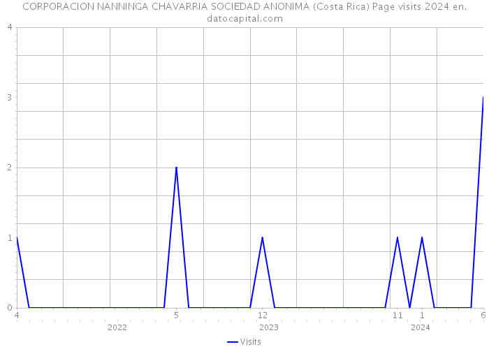 CORPORACION NANNINGA CHAVARRIA SOCIEDAD ANONIMA (Costa Rica) Page visits 2024 