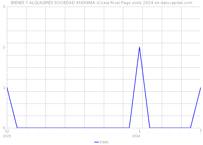 BIENES Y ALQUILERES SOCIEDAD ANONIMA (Costa Rica) Page visits 2024 