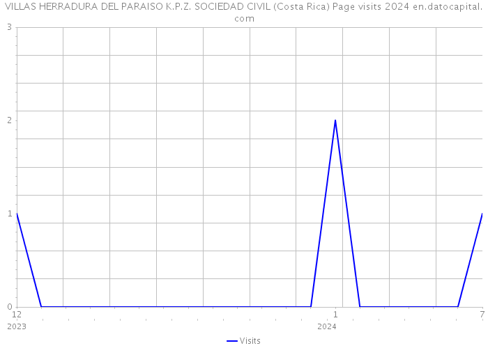 VILLAS HERRADURA DEL PARAISO K.P.Z. SOCIEDAD CIVIL (Costa Rica) Page visits 2024 