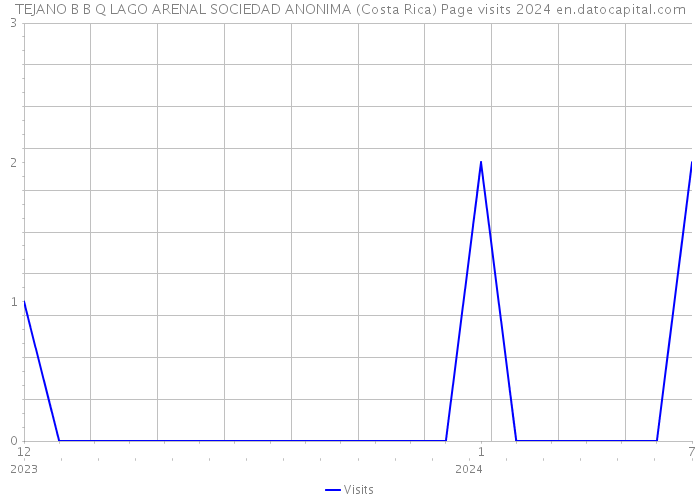 TEJANO B B Q LAGO ARENAL SOCIEDAD ANONIMA (Costa Rica) Page visits 2024 