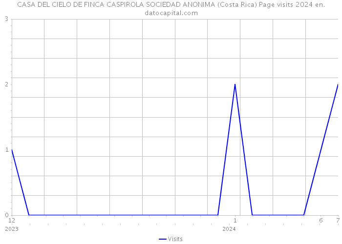 CASA DEL CIELO DE FINCA CASPIROLA SOCIEDAD ANONIMA (Costa Rica) Page visits 2024 