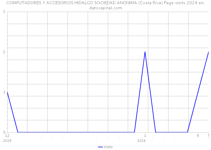 COMPUTADORES Y ACCESORIOS HIDALGO SOCIEDAD ANONIMA (Costa Rica) Page visits 2024 