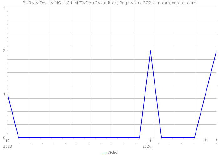 PURA VIDA LIVING LLC LIMITADA (Costa Rica) Page visits 2024 