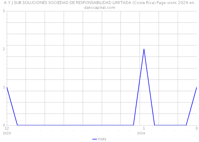 A Y J SUB SOLUCIONES SOCIEDAD DE RESPONSABILIDAD LIMITADA (Costa Rica) Page visits 2024 