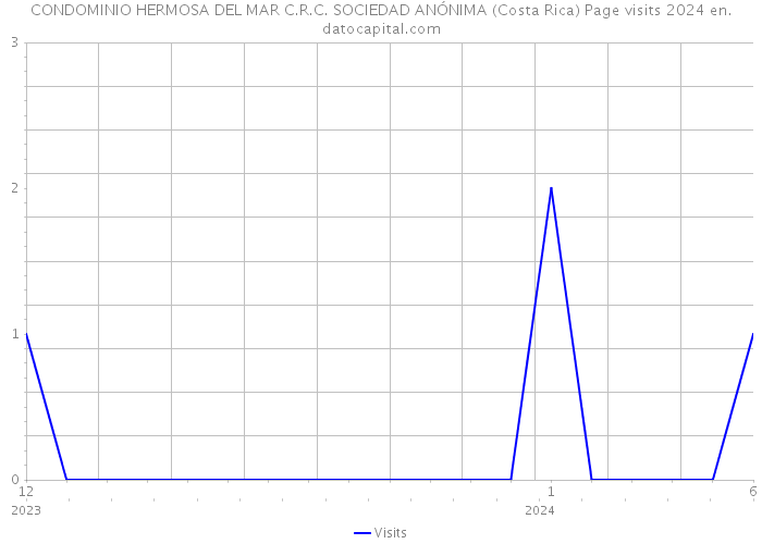 CONDOMINIO HERMOSA DEL MAR C.R.C. SOCIEDAD ANÓNIMA (Costa Rica) Page visits 2024 