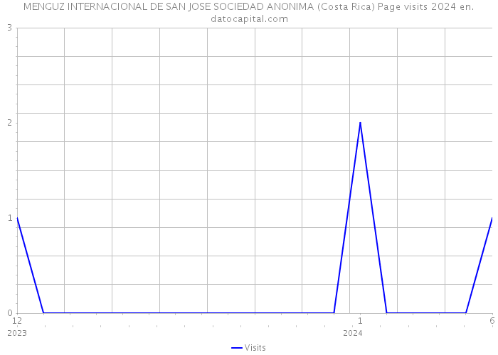 MENGUZ INTERNACIONAL DE SAN JOSE SOCIEDAD ANONIMA (Costa Rica) Page visits 2024 