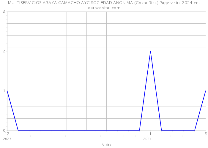 MULTISERVICIOS ARAYA CAMACHO AYC SOCIEDAD ANONIMA (Costa Rica) Page visits 2024 