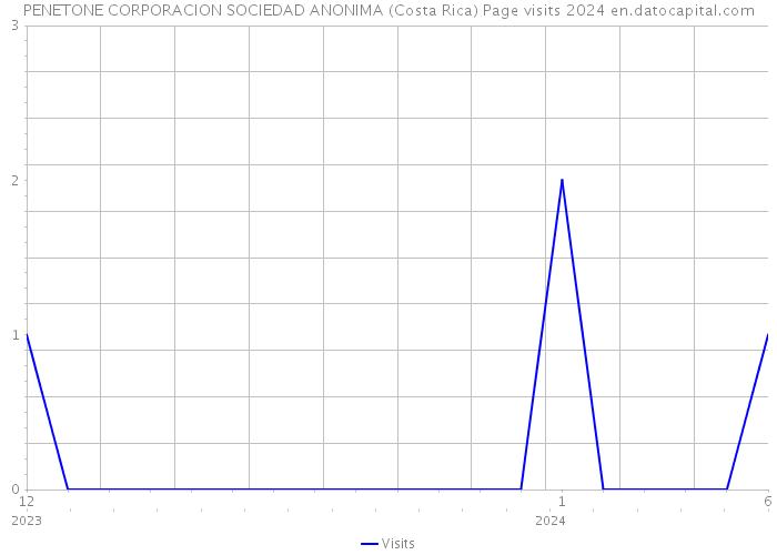 PENETONE CORPORACION SOCIEDAD ANONIMA (Costa Rica) Page visits 2024 