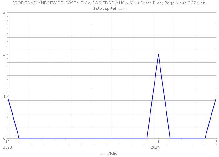 PROPIEDAD ANDREW DE COSTA RICA SOCIEDAD ANONIMA (Costa Rica) Page visits 2024 