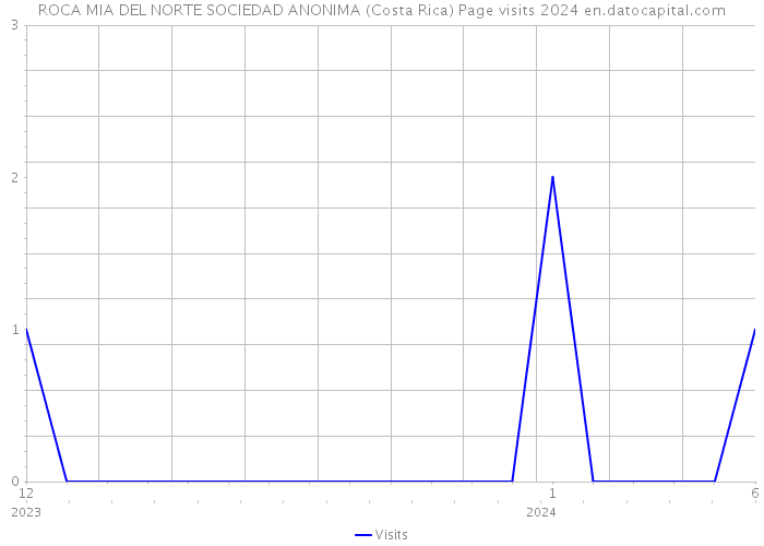 ROCA MIA DEL NORTE SOCIEDAD ANONIMA (Costa Rica) Page visits 2024 