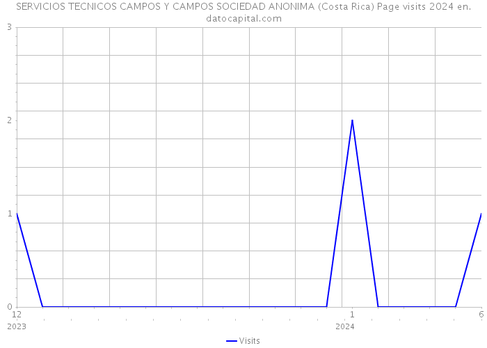 SERVICIOS TECNICOS CAMPOS Y CAMPOS SOCIEDAD ANONIMA (Costa Rica) Page visits 2024 