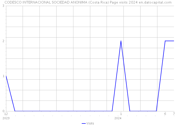 CODESCO INTERNACIONAL SOCIEDAD ANONIMA (Costa Rica) Page visits 2024 