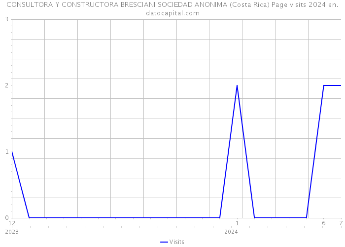 CONSULTORA Y CONSTRUCTORA BRESCIANI SOCIEDAD ANONIMA (Costa Rica) Page visits 2024 