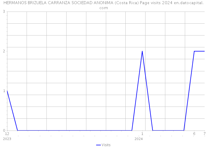 HERMANOS BRIZUELA CARRANZA SOCIEDAD ANONIMA (Costa Rica) Page visits 2024 